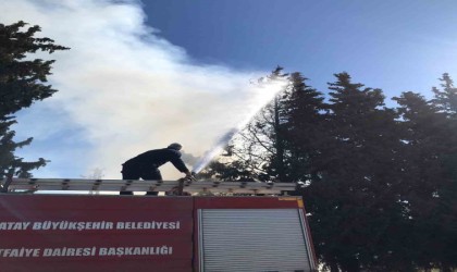 Reyhanlıda çamlık alanda yangın çıktı