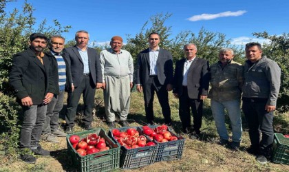 Samsatta nar hasadı başladı