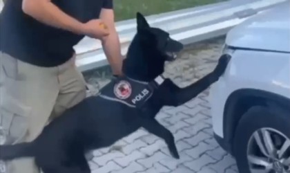 Samsunda narkotik dedektör köpeği 1 kilo metamfetamini buldu