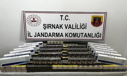 Şırnakta jandarma ekiplerinden kaçakçılara operasyon: 17 kişiye işlem yapıldı