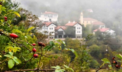 Tarihi Süleymaniye Mahallesinde sisli sonbahar güzelliği