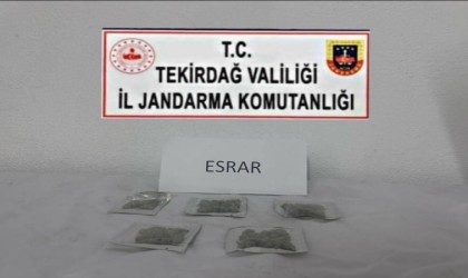 Tekirdağda uyuşturucu ve silah operasyonları: Çok sayıda suç unsuru ele geçirildi