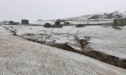 Trabzon yaylalarına mevsimin ilk karı düştü