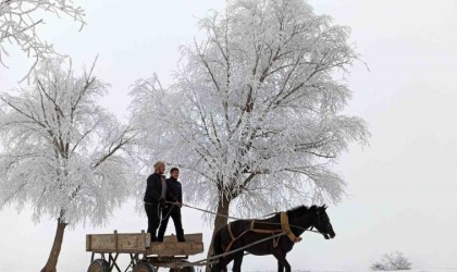 Türkiyenin en soğuk yeri Palandöken oldu