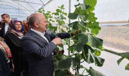 Vali Varol, kooperatif kuran kadınların serasını inceledi