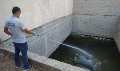 Yağışlar öncesi larva ilaçlama çalışmaları hızlandırıldı