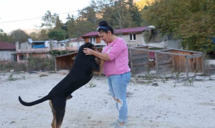 Yolda giderken kafası salça bidonuna sıkışan köpeği görüp kurtardı