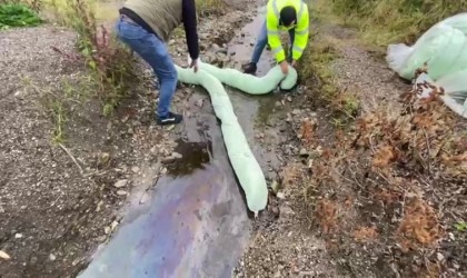 Amatör balıkçılar fark etti, ekipler seferber oldu