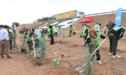 Aydında binlerce fidan toprakla buluşacak