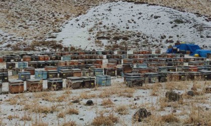 Bahçesaray Kaymakamlığından sürücülere zorunlu olmadıkça yola çıkmayın uyarısı