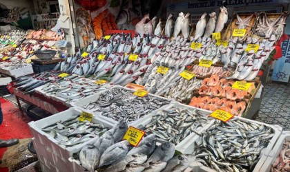 Balık tezgahlarında palamut yerini hamsi ve çinekop bıraktı