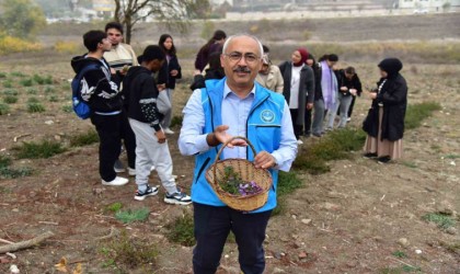 Balıkesirde botanik bahçesinde ilk safran hasadı yapıldı