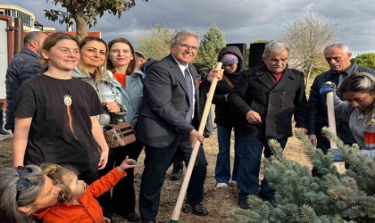 Bandırmada katledilen kadınlar anısına fidan dikildi