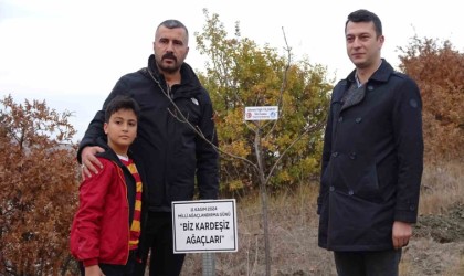 Başbuğ Alparslan Türkeş hatıra ormanına çınar fidanı diktiler