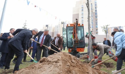 Başkan Palancıoğlunun yeşil projesi: “Melikgazide fidan değil: ağaç dikiyoruz”