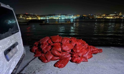 Beyoğlunda 3 ton kaçak midye ele geçirildi