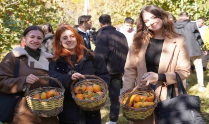 Bilecikte 6 yıl önce deneme amaçlı dikilen hurma fideleri ilk meyvelerini verdi