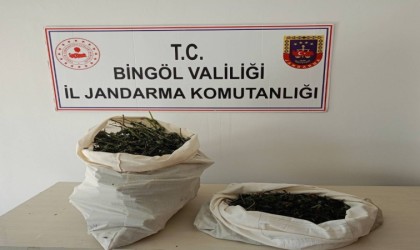 Bingölde 7 kilo esrar ele geçirildi