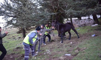 ‘Bu şehrin taşı toprağı da, kuzusu kurdu da bize emanet diyen başkandan, bin 900 rakımda ölümü bekleyen katıra şefkat eli