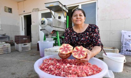 Büyükşehir Belediyesinden üreticiye Nar Taneleme Makinesi desteği