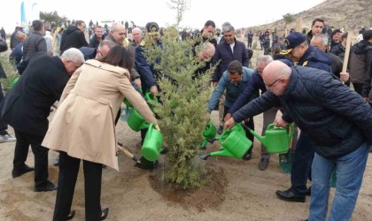 Çanakkalede Milli Ağaçlandırma Günü çerçevesinde 34 bin 500 bin fidan toprakla buluştu