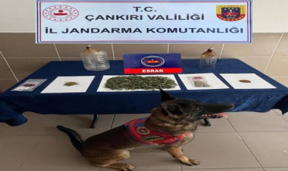 Çankırıda aranan 114 şahıs yakalandı