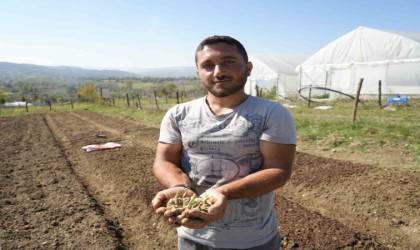 Çocukken annesiyle yaylalarda topluyordu, şimdi üreticisi oldu