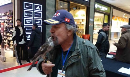 Dişi atmacalar AVMde kendileri için düzenlenen güzellik yarışmasında boy gösterdi