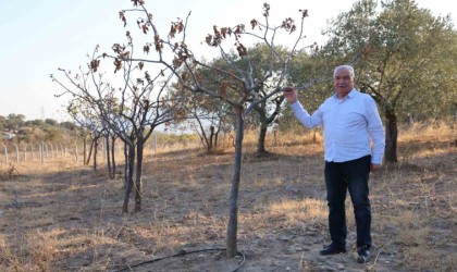 Egede kuraklık alarmı