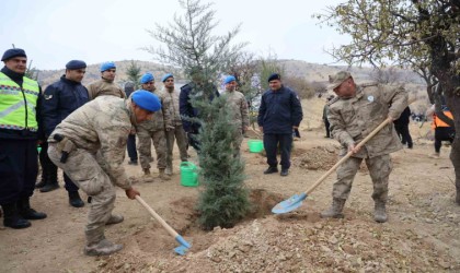 Elazığda 2 bin 300 fidan toprakla buluştu