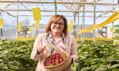 Gaziantep Büyükşehir, çevreci yatırımlarıyla geleceğin kentini şekillendiriyor