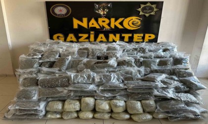 Gaziantepte 104 kilo skunk ele geçirildi