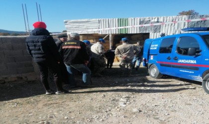 Gedizde haftalardır kayıp olan kadın samanlıkta ölü bulundu