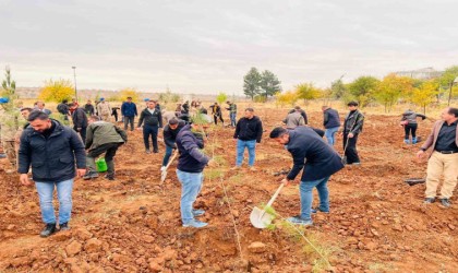 Geleceğe kök salacak fidanlar toprakla buluşturuldu