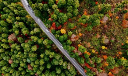 Gölcük Tabiat Parkında mest eden sonbahar görüntüsü