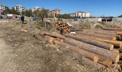 Ispartada kontrolden çıkan otomobil tomrukların üzerinden düştü: 2 yaralı