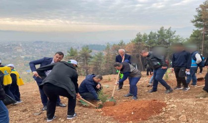 Kahramanmaraşta denetimli hükümlüler fidan dikti