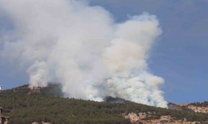 Kahramanmaraşta orman yangının kontrolü altına alındı