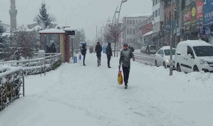 Kar Erzurumu esir aldı