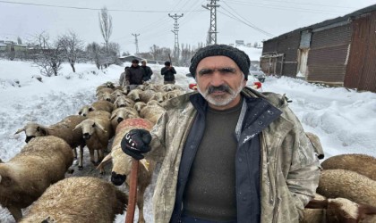 Kara kışa hazırlıksız yakalanan çobanlar yayladan erken indi