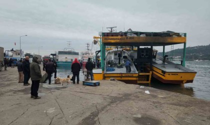 Karadeniz Ereğli Limanında hamsi hareketliliği