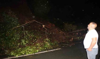 Karadeniz Sahil Yolu heyelan nedeniyle tek yönlü trafiğe kapandı