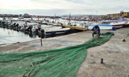 Karadenizden umutlu haber geldi: Balıkçılar bayram edecek