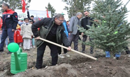 Karsta Milli Ağaçlandırma Günü: 11 bin 500 fidan toprakla buluştu