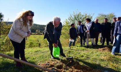 Kastamonu Üniversitesinde 100 fidan dikildi