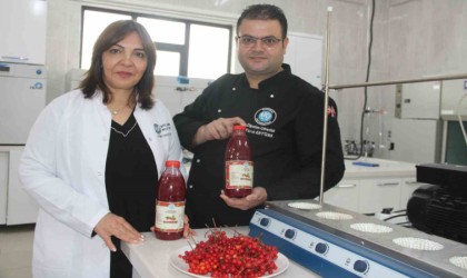 Kayseri Üniversitesi gilaburu şerbeti üretti, patent başvurusu yaptı