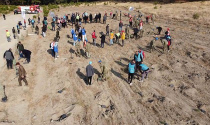 Kazdağlarında Mili Ağaçlandırma Gününde fidanlar toprak ile buluştu