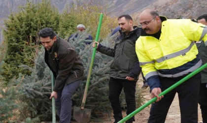 Kemaliyede geleceğe nefes için fidan dikildi