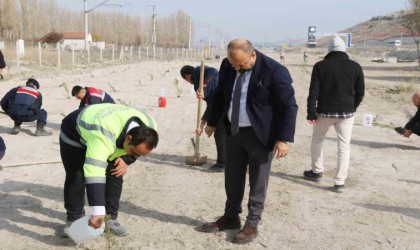 Kütahya OSBde fidanlar toprakla buluştu