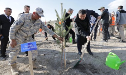 Mehmetçik Hatıra Ormanına fidan dikildi